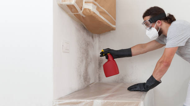 Professional Crawl Space Mold Removal technician working in Woodstock, GA