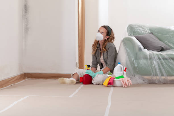 Reliable Crawl Space Mold Removal contractor in Woodstock, GA by WQB Mold Removal